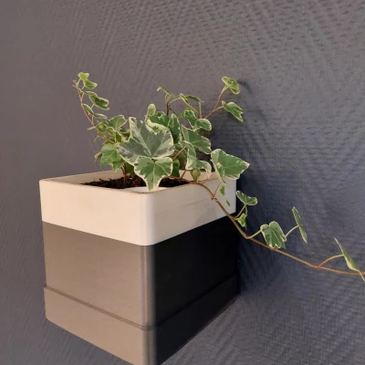 Chậu hoa treo tường (hoặc không) / Pot de Fleur mural (ou pas)