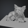 Mô hình 3D Yorkshire Terrier (yorkshire_terrier) - Thumbnail 2