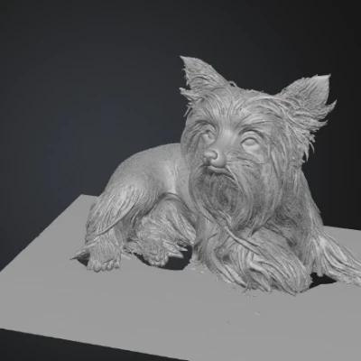 Mô hình 3D Yorkshire Terrier (yorkshire_terrier)
