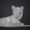 Mô hình 3D Yorkshire Terrier (yorkshire_terrier) - Thumbnail 3