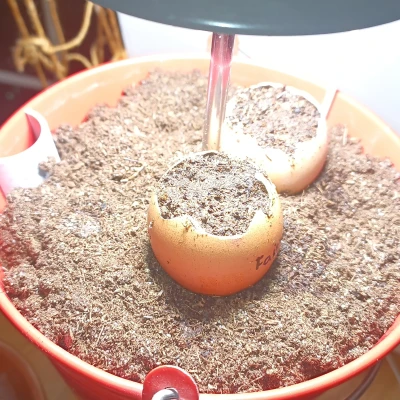 Insert trồng cây cho xô IKEA SOCKER (Grow Insert) – thoát nước tốt hơn