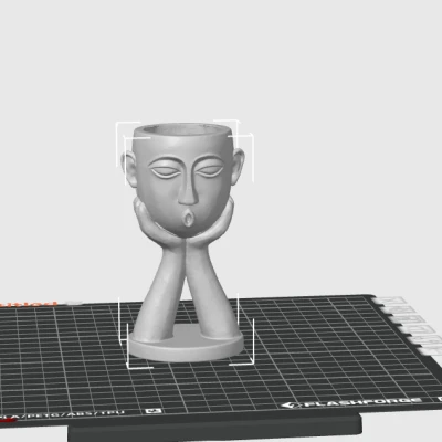 Chậu Hoa Thiết Kế Đặc Biệt (Design Flower Pot)