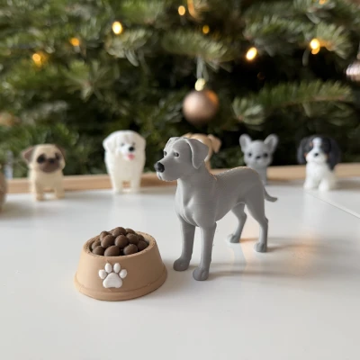 Great Dane - Chó Great Dane trưởng thành