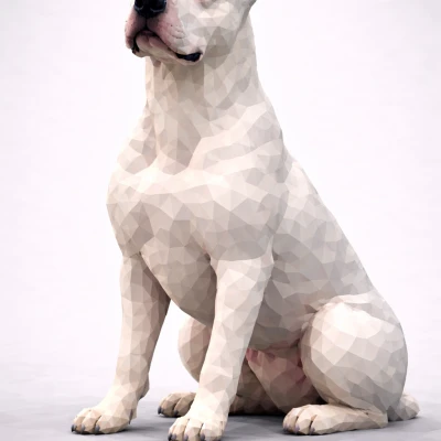Dogo Argentino Low Poly