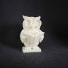 Cú Mọt Sách (Bookworm Owl) - Thumbnail 2