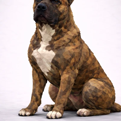 Perro de Presa Canario