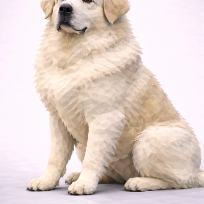 Chó Núi Pyrenees Low Poly