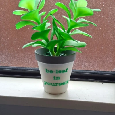 Chậu cây và phần lót giả