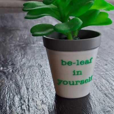 Chậu cây và phần lót giả