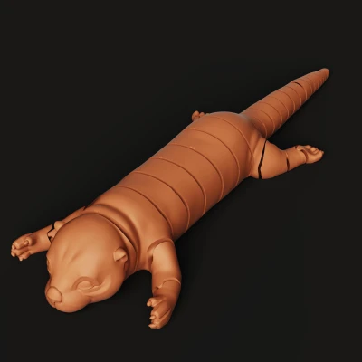 Rái Cá Flexi Khớp Nối | Đồ Chơi Fidget In 3D | Sea Otter Cử Động | Dễ In