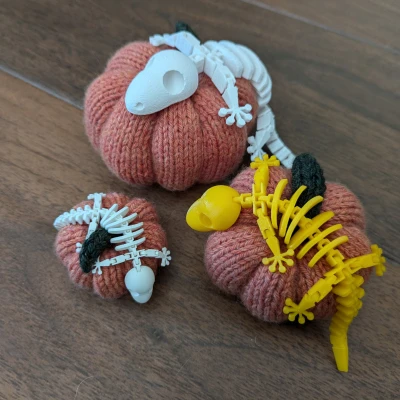 Bộ Xương Tắc Kè Flexi Khớp Nối (Articulated Flexi Gecko Skeleton)