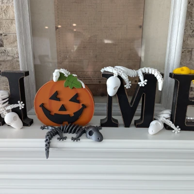 Bộ Xương Tắc Kè Flexi Khớp Nối (Articulated Flexi Gecko Skeleton)