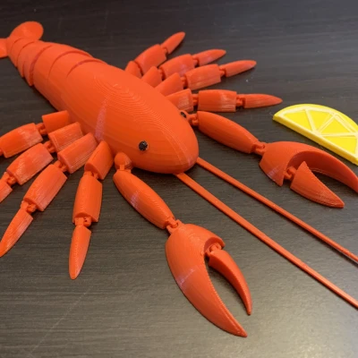 Tôm Hùm Khớp Nối (Articulated Lobster) Print-in-Place