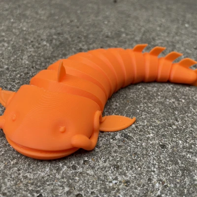 Cá Trê Khớp Nối (Articulated Catfish)