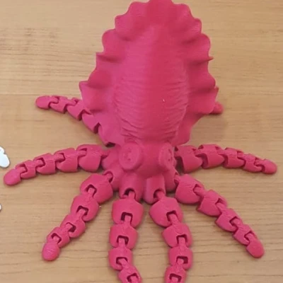 Mực Nang Khớp Nối (Articulated Cuttlefish)