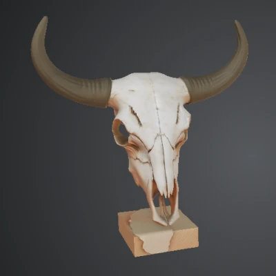 Hộp sọ trâu (Buffalo Skull) – đồ trang trí văn phòng