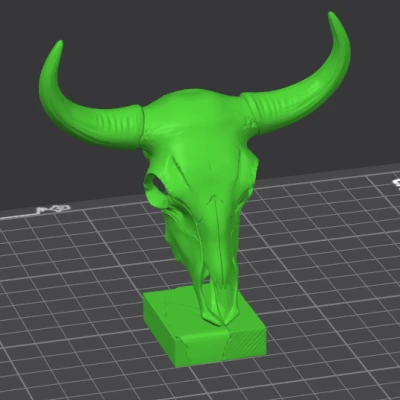 Hộp sọ trâu (Buffalo Skull) – đồ trang trí văn phòng