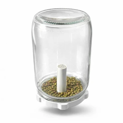 Nắp ươm mầm cho hũ – Jar Lid Sprouter (Seed Germination Cap TO82)