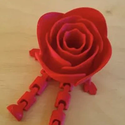 Ruza (Rose) – Mô hình figure chân chuyển động