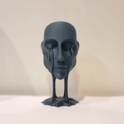 The face – Gương mặt