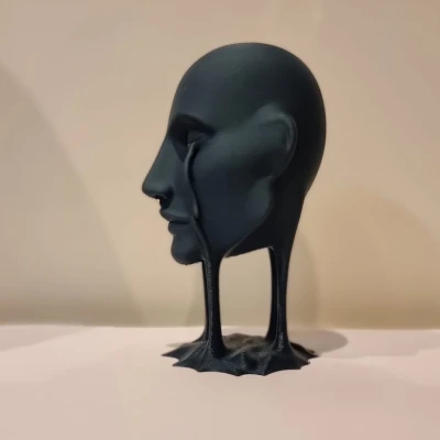 The face – Gương mặt