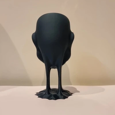 The face – Gương mặt