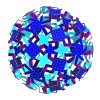 ROELOFS 2.0 ROMBICOSIDODECAHEDRAL POLYKNOT 1 - Thumbnail 3