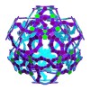ROELOFS STAR DODECAHEDRAL POLYKNOT 6 - Thumbnail 2