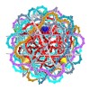 NESTED ESCHER STAR DODECAHEDRAL POLYLINKNOT 3 - Thumbnail 2