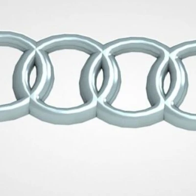 Kruzek cho động cơ Audi