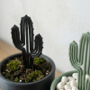 Cọc Cắm Xương Rồng Hiện Đại - Decor Cây Tối Giản - Thumbnail 3