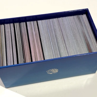 Insert sắp xếp thẻ Doomlings (card organiser insert)