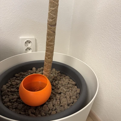 Chậu trồng cây tự tưới nước (Self watering planter)