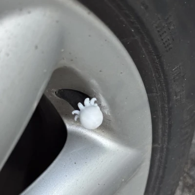 Nắp van bạch tuộc dễ thương