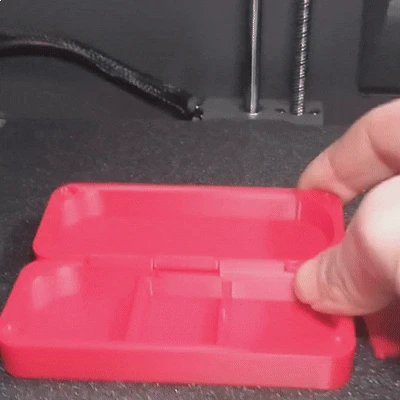 Hộp đựng Fingerboard PIP (Print-in-Place) – PIP Fingerboard Carrying Case