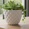Chậu cây “Balls” – Planter (Vase mode) - Thumbnail 1