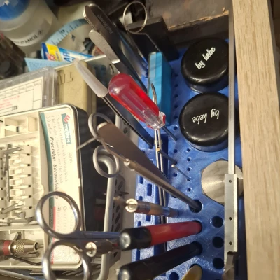 Khay/giá đựng dụng cụ thợ đồng hồ (organizer, holder)