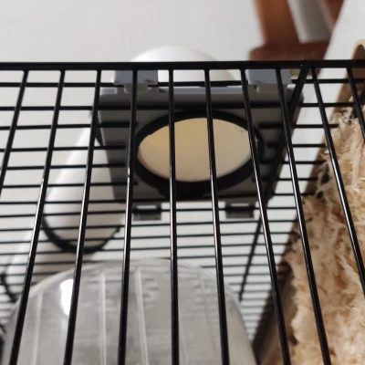 Ống Tube Cho Hamster Có Đế Nối