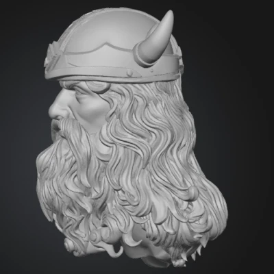 Chiến binh Viking (Viking Warrior)