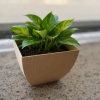 Chậu Cây Vuông Bo Cong (Square Planter with Curved Sides) - Thumbnail 1