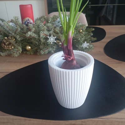 Chậu hoa Fruvita (Fruvita flowerpot)