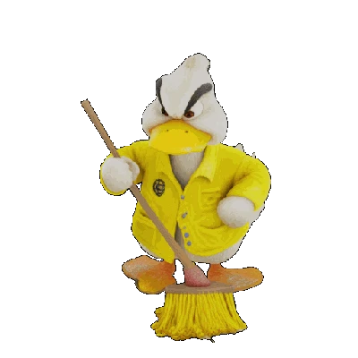 Vịt dọn vệ sinh (Duck Cleaning)