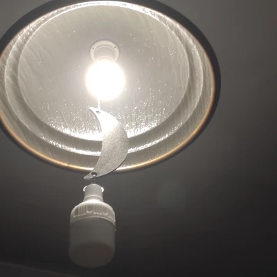 Trăng lưỡi liềm có lỗ (Crescent moon with holes)