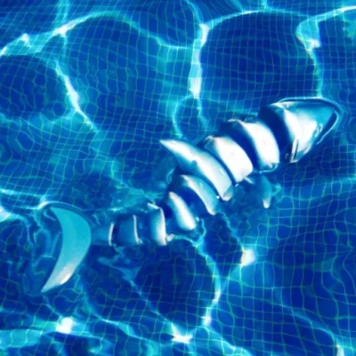 Cá mập khớp nối (Tiburón articulado)