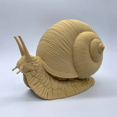 Ốc sên chân thực (Realistic Snail)