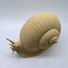 Ốc sên chân thực (Realistic Snail) - Thumbnail 5