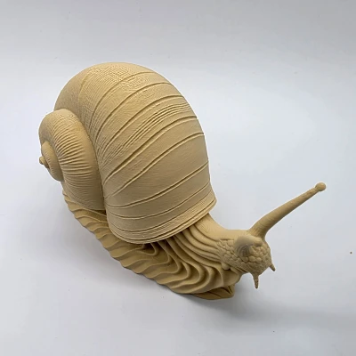 Ốc sên độ chi tiết cao (High-Detail Snail)