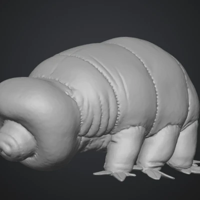 Tardigrade (Water Bear) – Gấu Nước siêu nhỏ