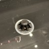 Nút bịt lỗ thoát nước nhà tắm (Bathroom Drain Plug) - Thumbnail 1