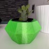 Flowerpot - Chậu trồng xương rồng - Thumbnail 1